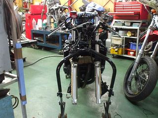 tanaka-2.jpg